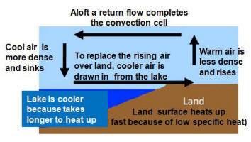 lake-breeze-explanation